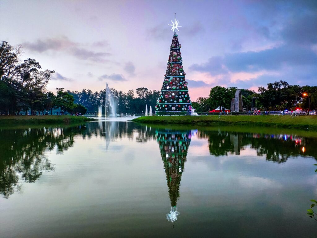 Reflection of the past while pointing to the future. Christmas tree beside the water with a reflection.