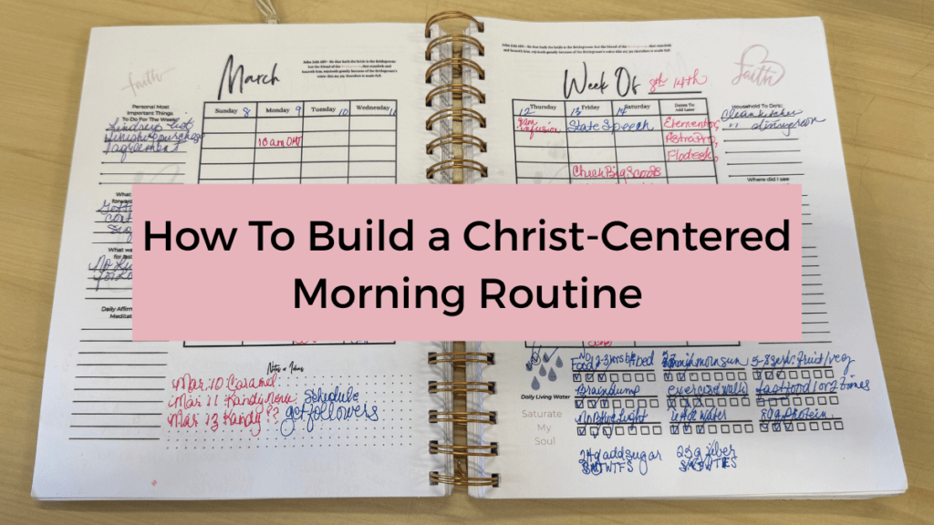 A weekly day by day spread of a planner with vertical sections for each day in black writing and affirmation spots on the edges of each page and habit tracking on the bottom right page and notes on the bottom left.