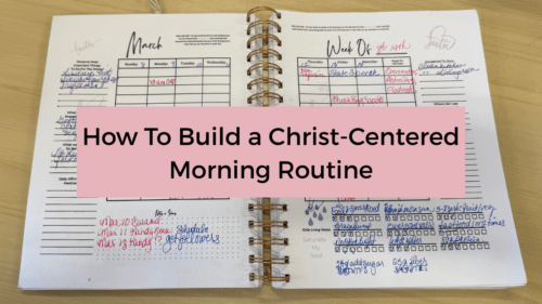 A weekly day by day spread of a planner with vertical sections for each day in black writing and affirmation spots on the edges of each page and habit tracking on the bottom right page and notes on the bottom left.