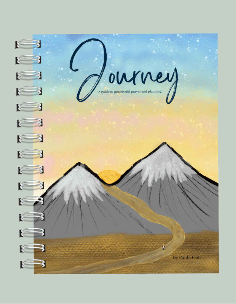 Pic of the Journey planner cover with a starry sky and snow capped mountains and a road!